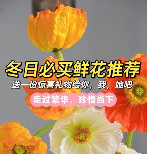 送礼时选择哪些花寓意好？好寓意的花有哪些？