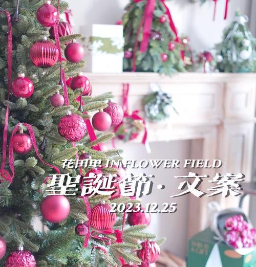 圣诞节送什么花好？圣诞节花的含义是什么？