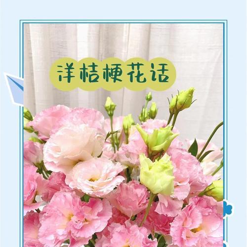 哪些花朵象征爱情？它们的花语分别是什么？