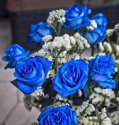 结婚时送蓝色花象征什么？蓝色花的特别含义是什么？