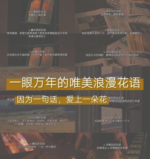 浪漫花语是什么意思？如何理解花语的浪漫？
