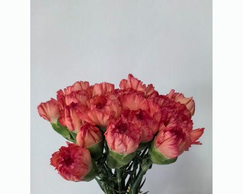 小花束如何象征爱情？