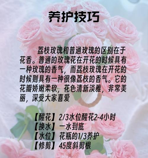 哪些花寓意着甜蜜的爱情？如何用花表达甜蜜的情感？