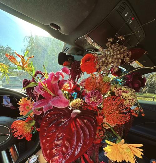 红色花入宅有什么寓意？红色花的寓意是什么？