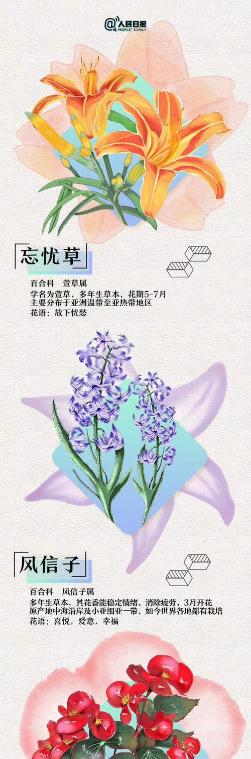 各种花语中哪些最浪漫？它们的寓意是什么？