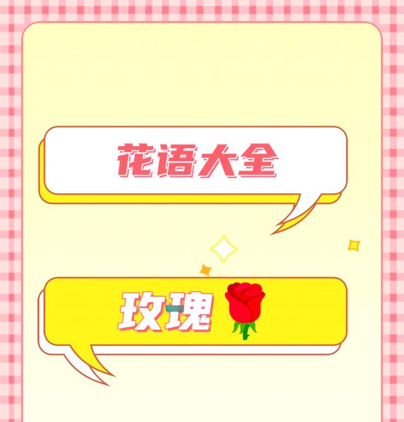 给领导送什么花语祝福合适？
