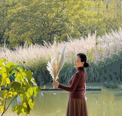 芦苇花的文化意义是什么？芦苇花在传统中象征什么？