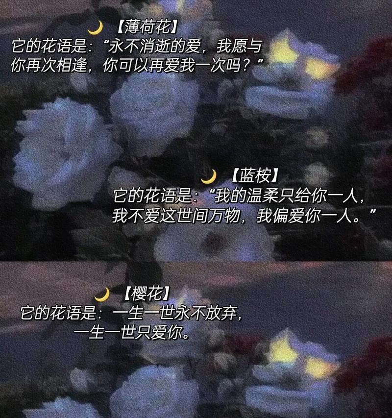 收到手捧花代表什么？它的花语和寓意是什么？