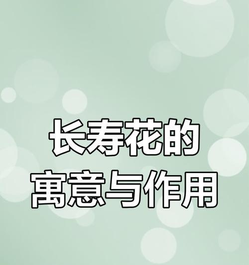 长寿花绿植代表什么？长寿花的寓意和象征是什么？