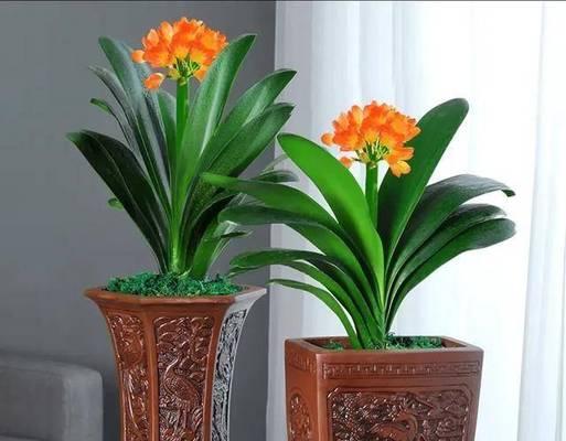 绿色花植物象征什么？绿色花卉的寓意有哪些？