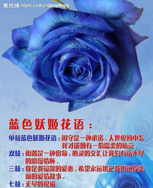 蓝色渲染花的花语和寓意是什么？