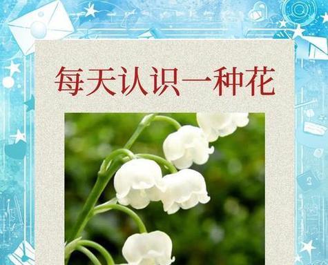 节约的花语是什么？如何通过花表达节约理念？