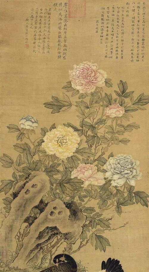 什么鸟象征富贵花？它的寓意是什么？