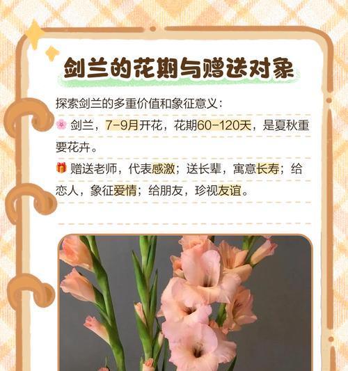 花语发狂背后的故事是什么？
