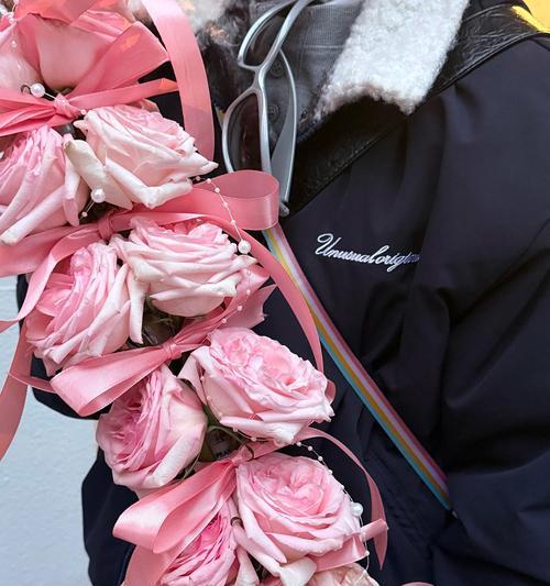 圣诞节花与水果的寓意？