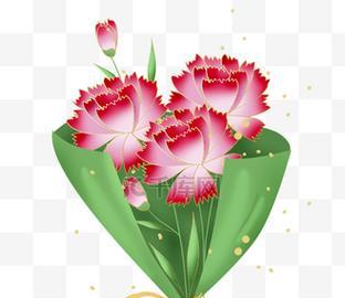 母亲节捧花如何制作？其寓意是什么？