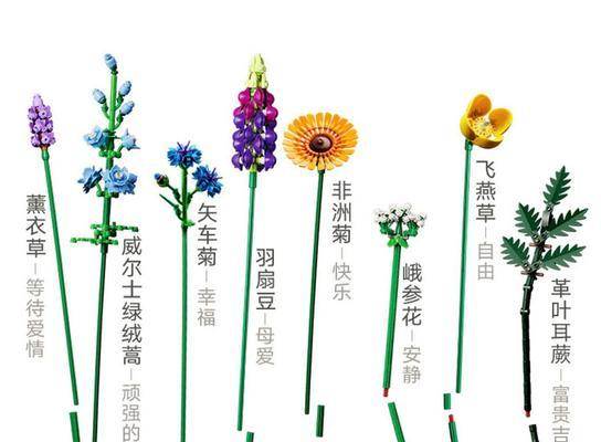 母亲节送乐高花有什么寓意？它象征着什么？