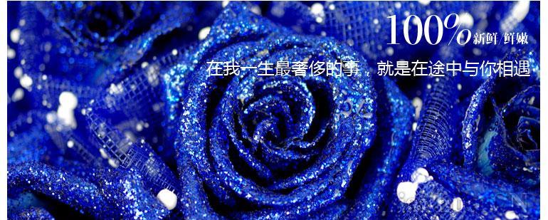 祭奠逝去爱情的花是什么？象征爱情祭奠的花有哪些？