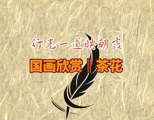 花的文化含义是什么？如何理解花的文化象征？
