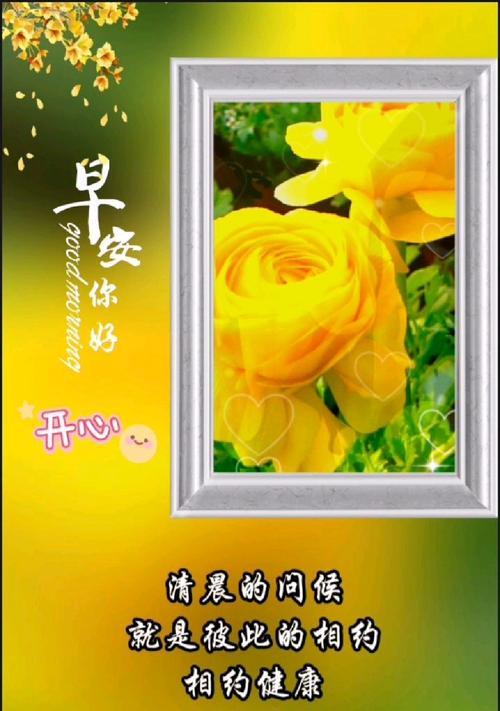 平安开心的花语是什么？哪种花代表平安和快乐？