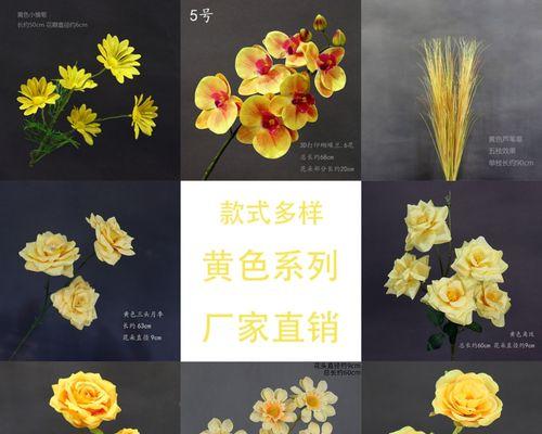 黄色花艺代表什么花？