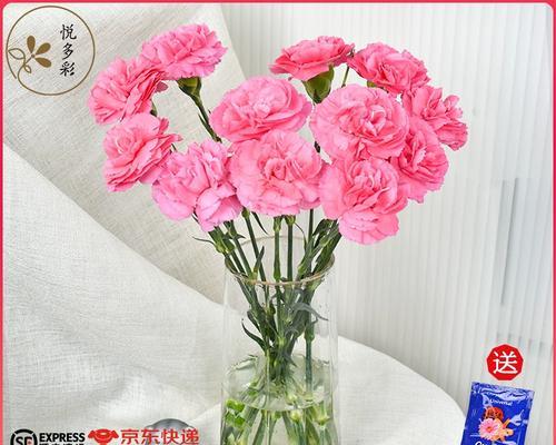 母亲节送什么花代表健康？