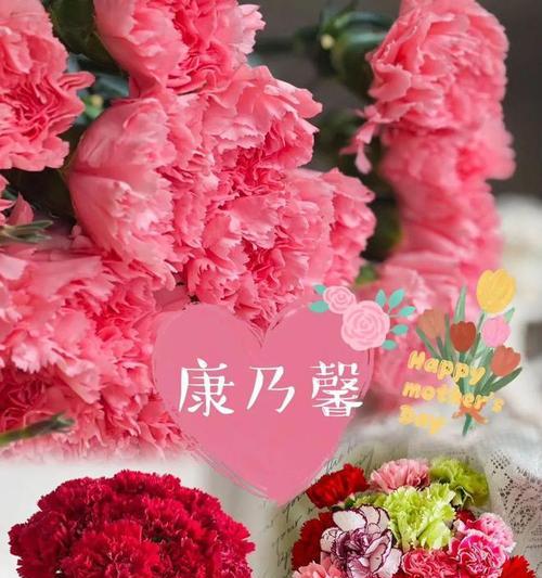 母亲节送花的寓意是什么？一支花代表了哪些情感？
