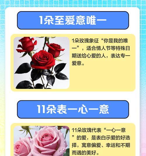 浪漫花卉有哪些？花语中蕴含的浪漫寓意是什么？
