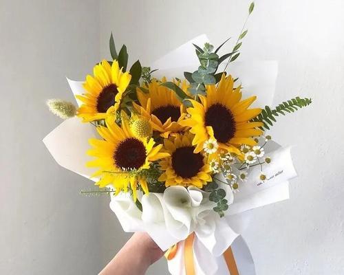 太阳花不同颜色的寓意是什么？它们分别代表什么？