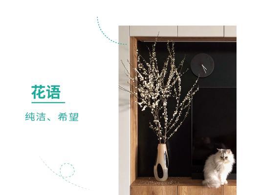 白色珍珠花寓意什么？它象征着什么？
