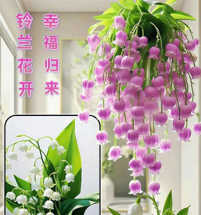 哪些花寓意甜蜜爱情？如何用花表达爱意？