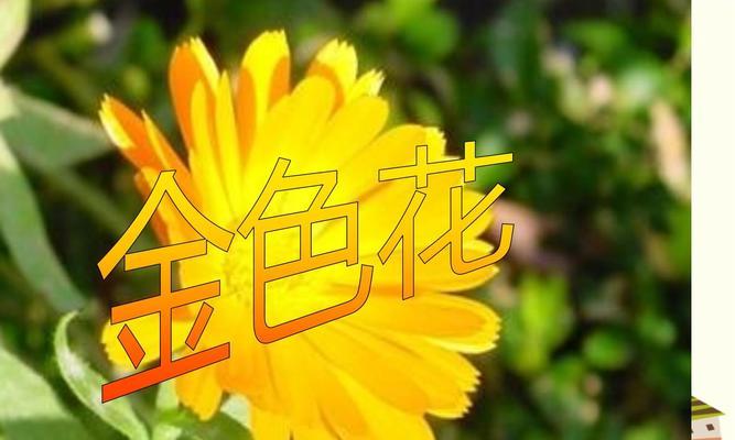 七上语文金色花的寓意是什么？