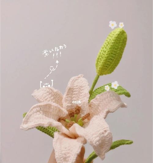 寓意好运的钩针花是什么？钩针花的吉祥含义有哪些？