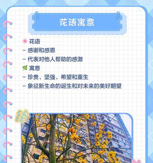 黄色风铃花的寓意是什么？