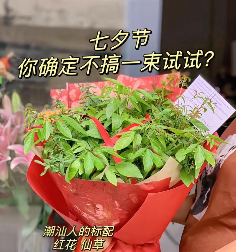 情人节开红花代表什么？红花的寓意是什么？