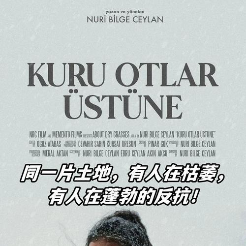 枯草在爱情中代表什么？枯草花的寓意是什么？