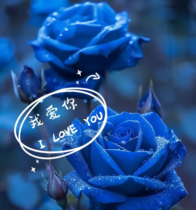 蓝色花象征着什么友谊？蓝色花卉在友谊中的寓意是什么？
