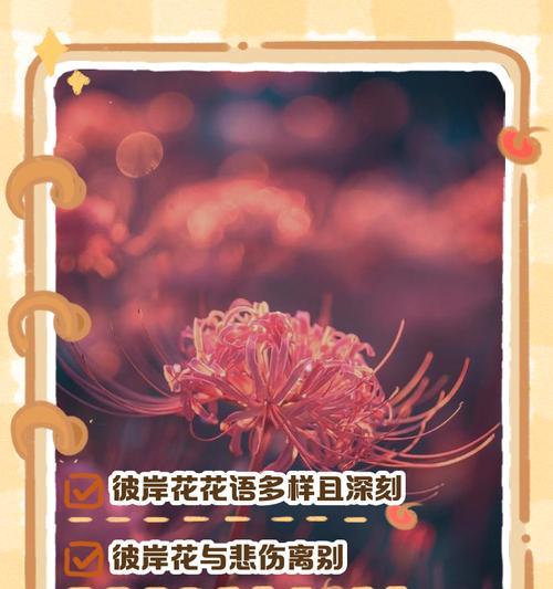 彼岸花不同颜色代表什么？它们的含义有哪些？