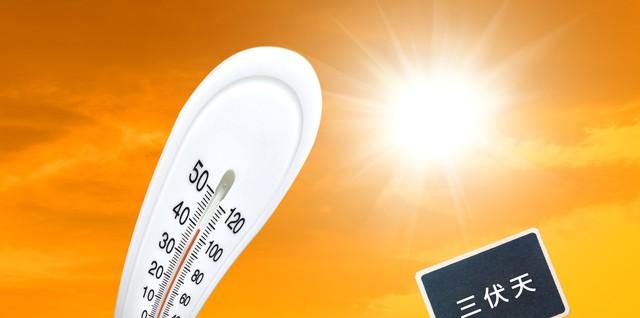 7月30日中伏，“冬天冷不冷，就看中伏”，今年冬天要冷到哭？